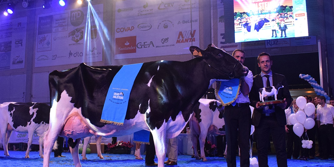 Atalayuela Kampman Reinalda, Vaca Gran Campeona del Concurso Usas...