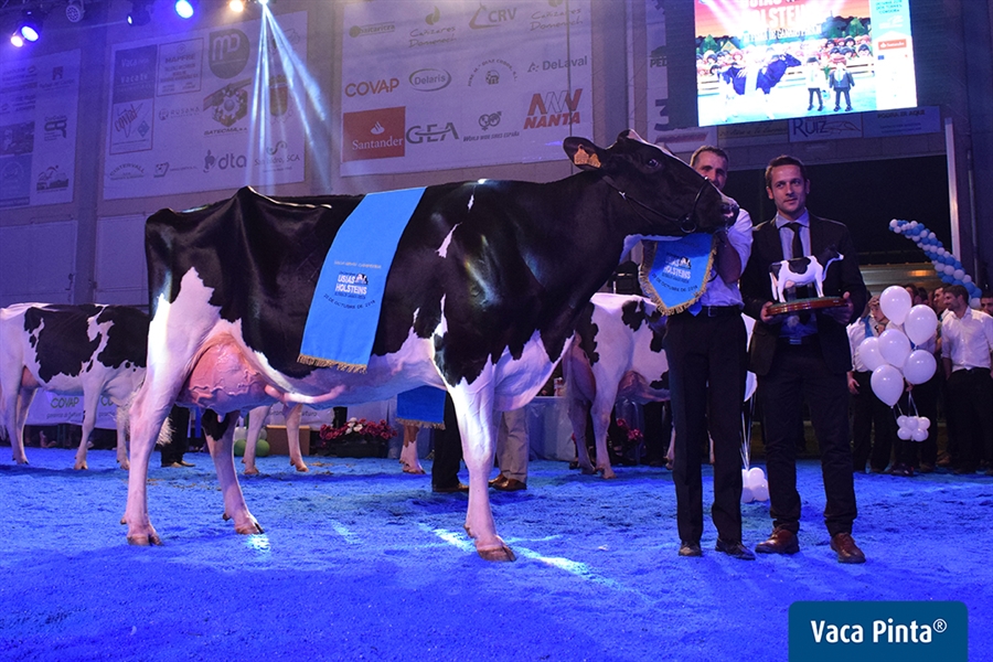 Atalayuela Kampman Reinalda, Vaca Gran Campeona del Concurso Usas...