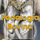 Abierta la inscripción al Diploma en Podología Bovina de CONAFE y la Universidad Complutense