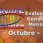Evaluación genómica de octubre 2018