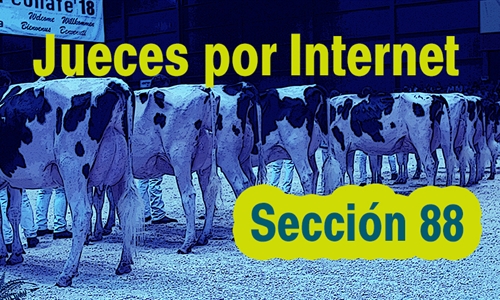 Jueces por Internet: Seccin 88