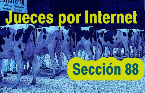 Jueces por Internet: Seccin 88