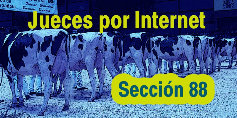 Jueces por Internet: Seccin 88