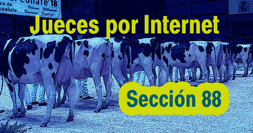 Jueces por Internet: Seccin 88