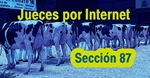 Jueces por Internet: Seccin 87