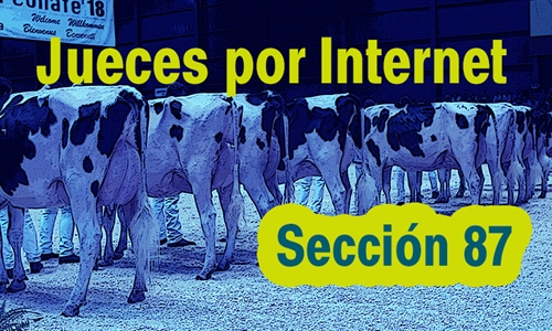 Jueces por Internet: Seccin 87