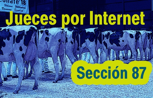 Jueces por Internet: Seccin 87