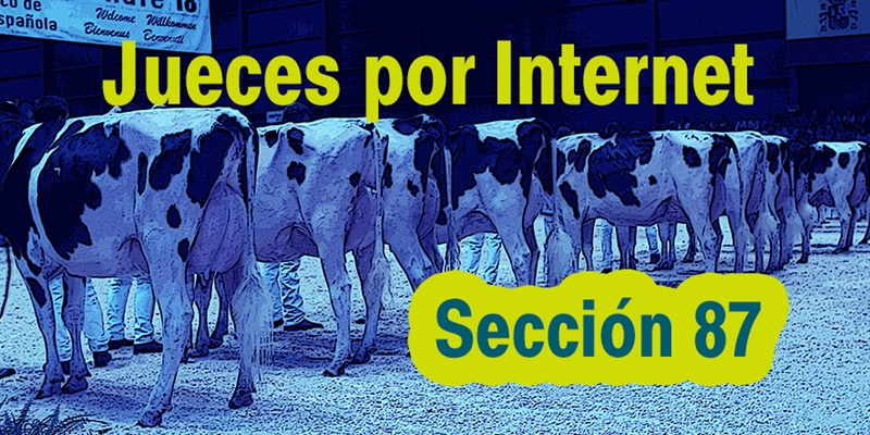 Jueces por Internet: Seccin 87