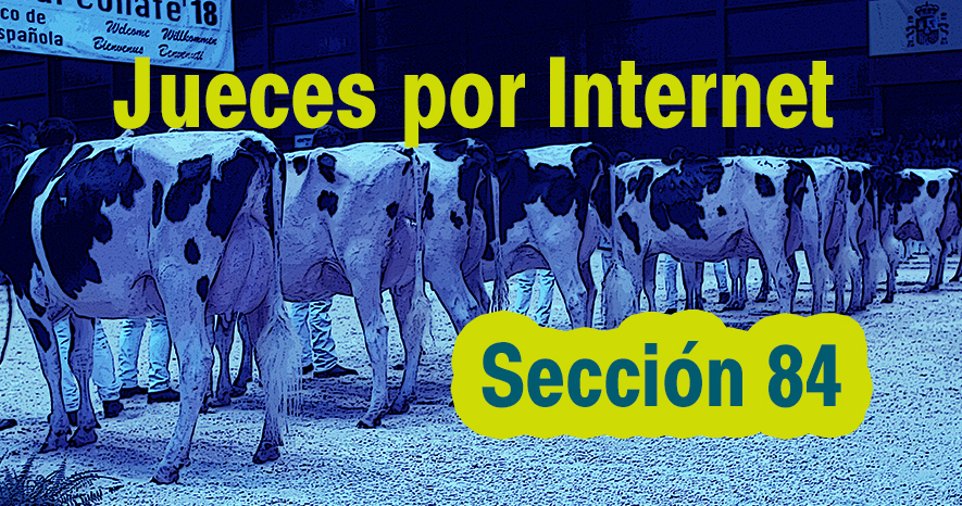 Jueces por Internet: Seccin 84