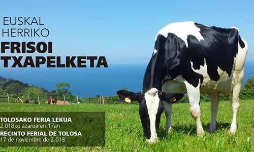 Tolosa acoge este fin de semana el X Concurso de Ganado Fris�n Euskal...