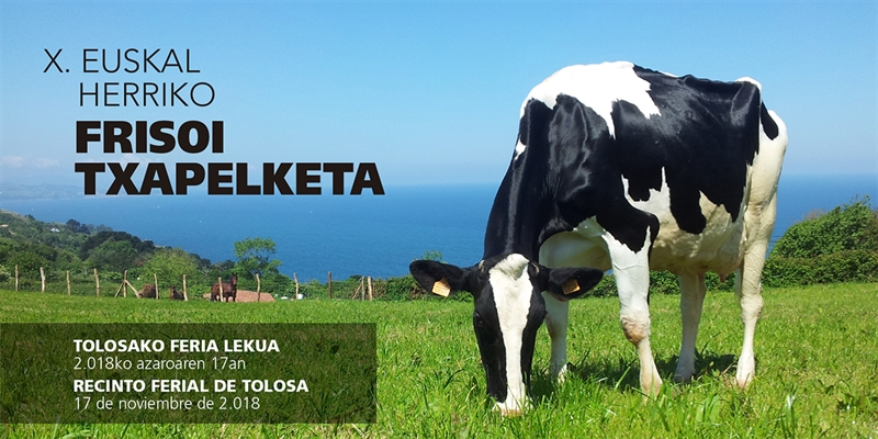 Tolosa acoge este fin de semana el X Concurso de Ganado Fris�n Euskal Herria