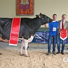 Kattaburu Jordan Ary, Vaca Gran Campeona de Euskal Herria 2018