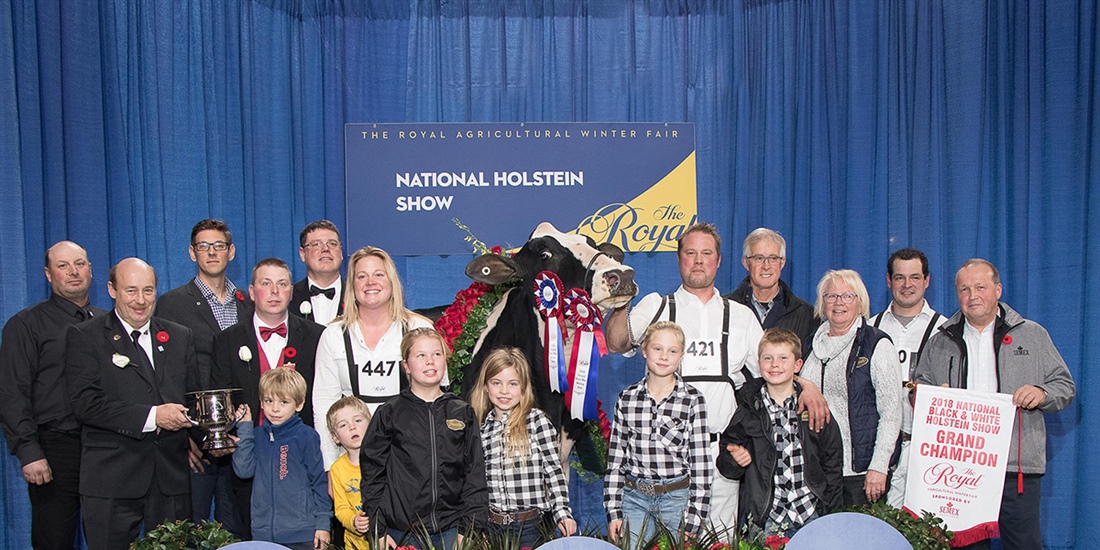 Jacobs Windbrook Aimo, Vaca Gran Campeona de Canad
