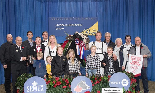 Jacobs Windbrook Aimo, Vaca Gran Campeona de Canad