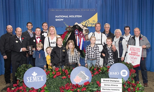 Jacobs Windbrook Aimo, Vaca Gran Campeona de Canad