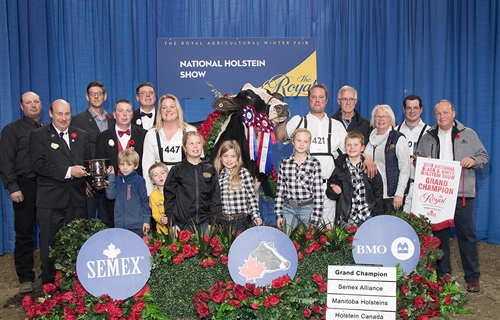 Jacobs Windbrook Aimo, Vaca Gran Campeona de Canad