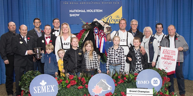 Jacobs Windbrook Aimo, Vaca Gran Campeona de Canad