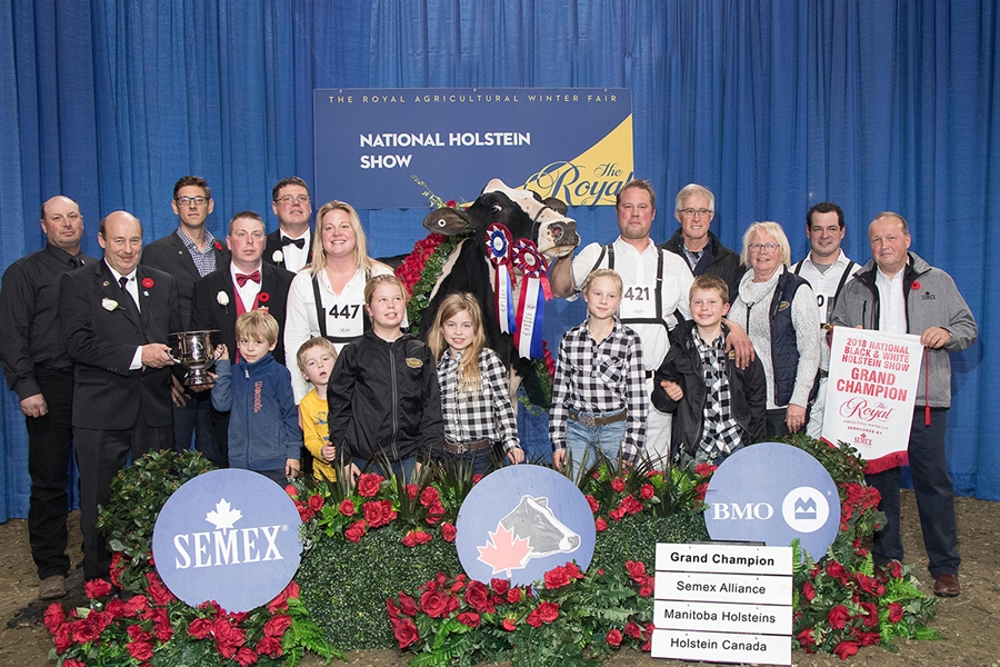 Jacobs Windbrook Aimo, Vaca Gran Campeona de Canad