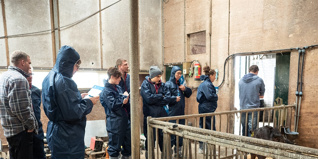 Holanda acogi la 4 Milk Quality Academy de Boehringer Ingelheim