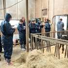 Holanda acogi la 4 Milk Quality Academy de Boehringer Ingelheim