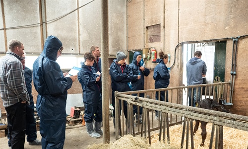 Holanda acogi la 4 Milk Quality Academy de Boehringer Ingelheim