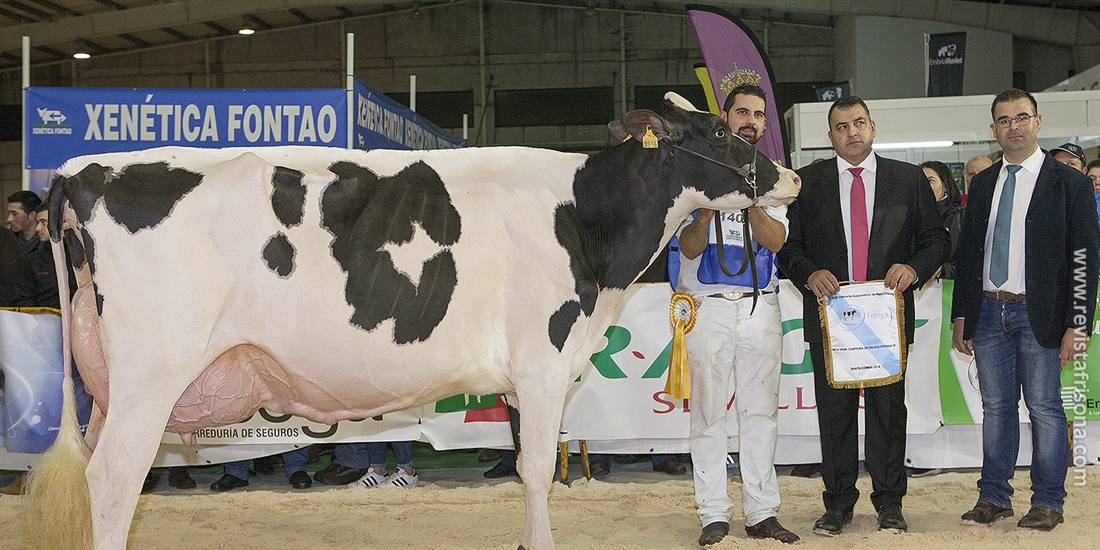 Rei de Miotelo arrasa en el 27 Concurso Autonmico FEFRIGA18