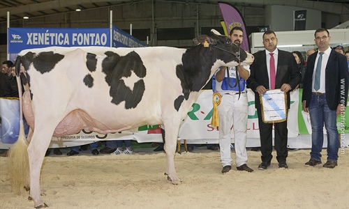 Rei de Miotelo arrasa en el 27 Concurso Autonmico FEFRIGA18