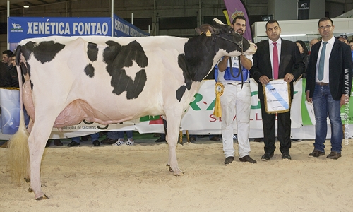 Rei de Miotelo arrasa en el 27 Concurso Autonmico FEFRIGA18