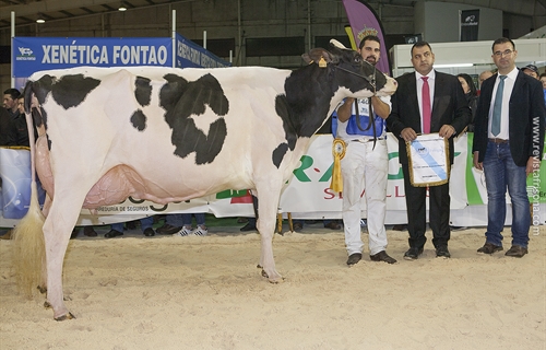 Rei de Miotelo arrasa en el 27 Concurso Autonmico FEFRIGA18