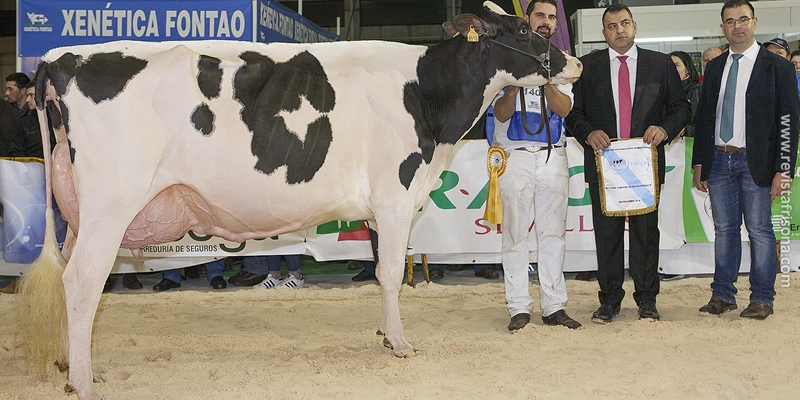 Rei de Miotelo arrasa en el 27 Concurso Autonmico FEFRIGA18