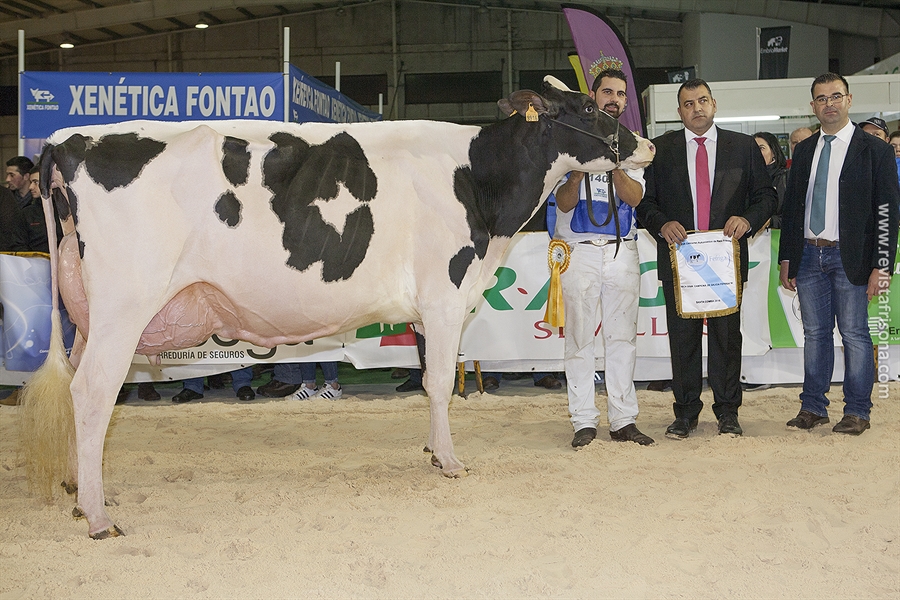 Rei de Miotelo arrasa en el 27 Concurso Autonmico FEFRIGA18