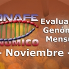 Evaluacin genmica de noviembre 2018