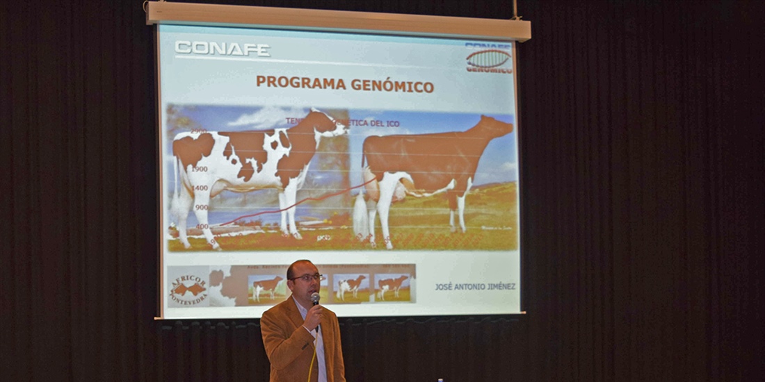 CONAFE participa en la Jornada T�cnica de Africor Pontevedra