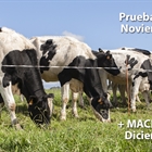 Nuevas pruebas CONAFE Noviembre 2018 + MACE y GMACE Diciembre 2018