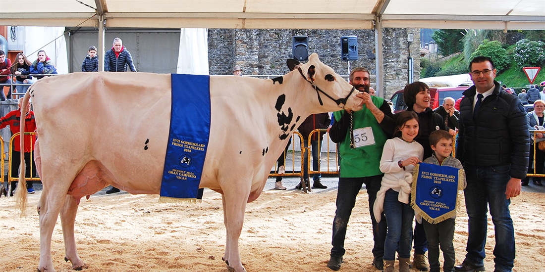 Afrodita, de la explotaci�n Ondazarte Gain de Igeldo, Vaca Gran...