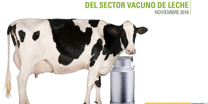 El precio en origen de leche de vaca se sitúa en 0,333 euros/litro de media en España en noviembre
