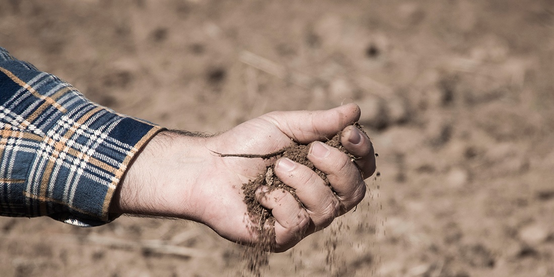 �Sin un precio justo, Espa�a se quedar� sin ganader�as�, recuerda la...