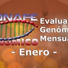 Evaluacin genmica de enero 2019