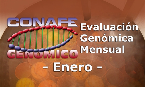 Evaluacin genmica de enero 2019