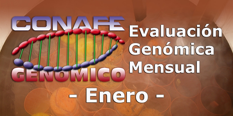 Evaluacin genmica de enero 2019