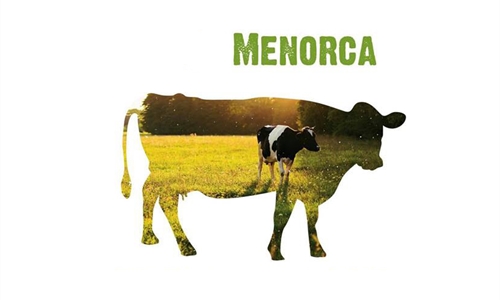 33� Concurso Morfol�gico de Ganado Vacuno Fris�n de Menorca