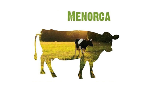 33 Concurso Morfolgico de Ganado Vacuno Frisn de Menorca