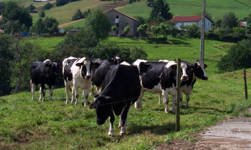 Cantabria abonar la prxima semana 6 millones de euros a 1.274...