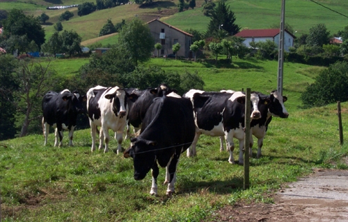 Cantabria abonar la prxima semana 6 millones de euros a 1.274...