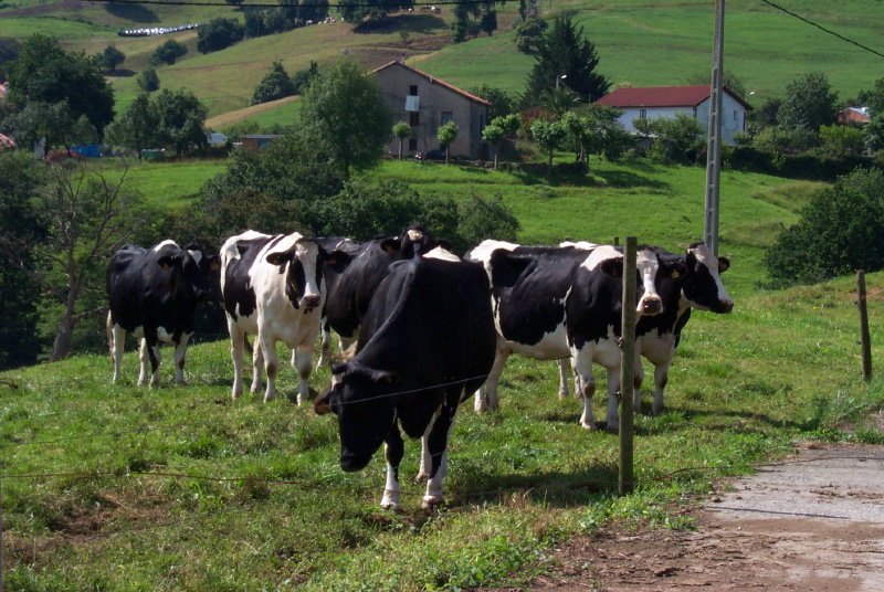 Cantabria abonar la prxima semana 6 millones de euros a 1.274...