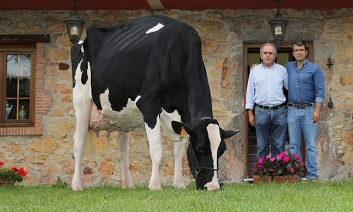 Badiola Holstein, nominada entre las 100 mejores ganaderas de raza...