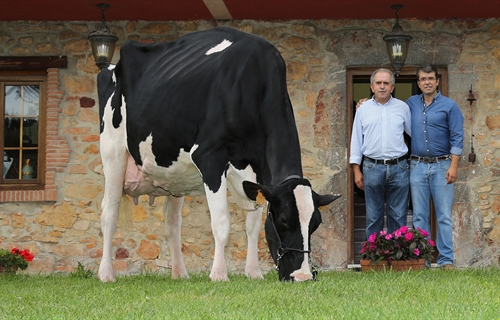 Badiola Holstein, nominada entre las 100 mejores ganaderas de raza...