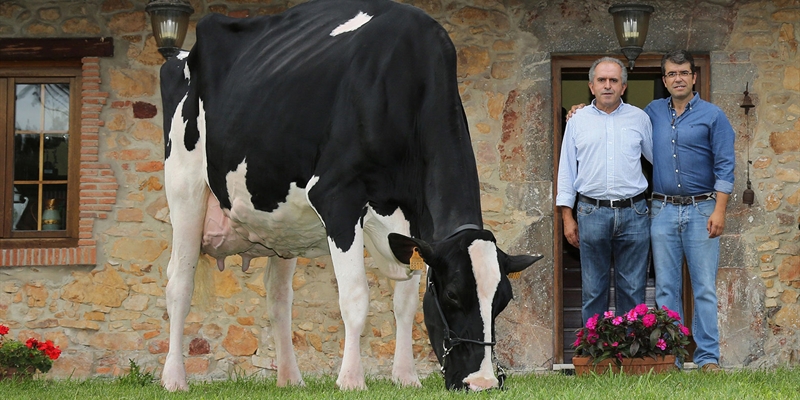Badiola Holstein, nominada entre las 100 mejores ganaderías de raza frisona del mundo