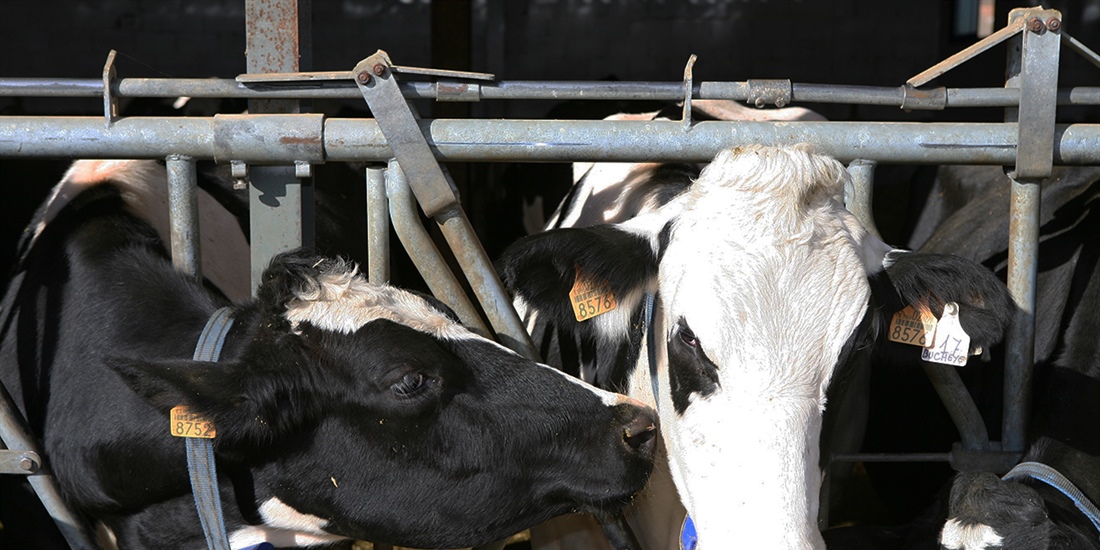 Ya se puede presentar la solicitud de ayudas de la PAC para 2019