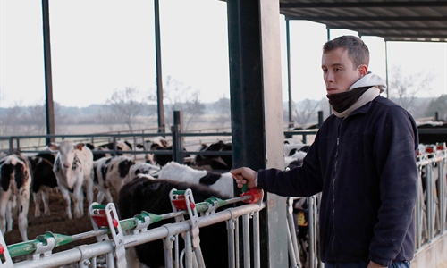Espaa perdi dos ganaderos de vacuno de leche al da en 2018